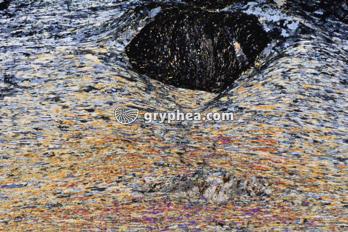 Schiste à grenats et glaucophane LPA x3,5 - gryphea.org